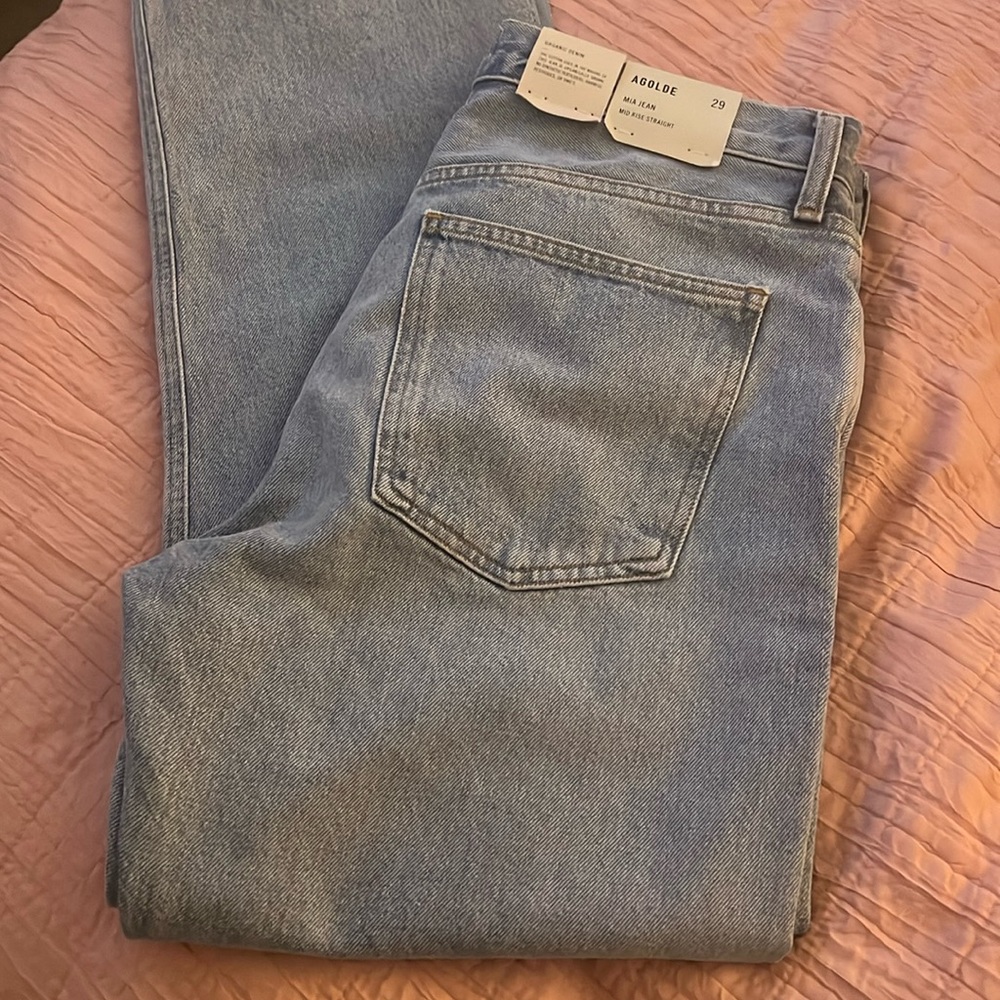 Agolde MIA Jean in Dimension size 29 midrise straight leg